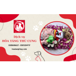 Bảng giá chi phí hỏa táng cho thú cưng tại TPHCM