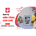 Dịch vụ hỏa táng cho chó chuyên nghiệp đầy đủ tại TP.HCM