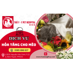 Dịch vụ hỏa táng cho mèo chuyên nghiệp đầy đủ tại Tphcm 