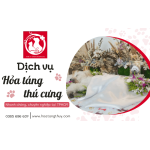 Dịch vụ hỏa táng cho thú cưng nhanh chóng chuyên nghiệp tại TPHCM