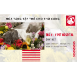 Dịch vụ hỏa táng tập thể cho thú cưng tại TPHCM