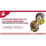 VÌ SAO HỎA TÁNG THÚ Y LÀ LỰA CHỌN THÔNG MINH TRONG VIỆC CHÔN CẤT THÚ CƯNG CỦA BẠN?