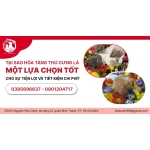 TẠI SAO HỎA TÁNG THÚ CƯNG LÀ MỘT LỰA CHỌN TỐT CHO SỰ TIỆN LỢI VÀ TIẾT KIỆM CHI PHÍ?