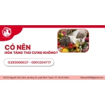 CÓ NÊN HỎA TÁNG THÚ CƯNG KHÔNG?