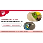 VẸT BỎ ĂN , LỪ ĐỪ, XÙ LÔNG - NGUY CƠ BỊ NHIỄM NẤM MIỆNG Ở VẸT