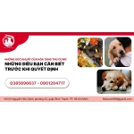 NHỮNG GÓC KHUẤT CỦA HỎA TÁNG THÚ CƯNG: NHỮNG ĐIỀU BẠN CẦN BIẾT TRƯỚC KHI QUYẾT ĐỊNH