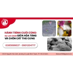 HÀNH TRÌNH CUỐI CÙNG: SỰ LỰA CHỌN GIỮA HỎA TÁNG VÀ CHÔN CẤT THÚ CƯNG