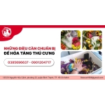 NHỮNG ĐIỀU CẦN CHUẨN BỊ ĐỂ HỎA TÁNG THÚ CƯNG