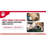 HỎA TÁNG THÚ CƯNG - VIỆC Ý NGHĨA CUỐI CÙNG DÀNH CHO PET