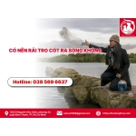 Có nên rải tro cốt của thú cưng ra sông không?