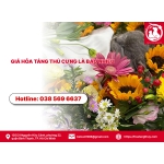 Giá hỏa táng thú cưng là bao nhiêu