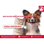 Dịch vụ hỏa táng thú cưng Bình Thạnh