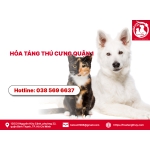 Hỏa táng thú cưng quận 1