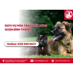 Dịch vụ hỏa táng thú cưng quận Bình Thạnh