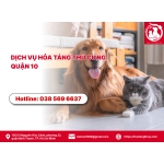Dịch vụ hỏa táng thú cưng quận 10