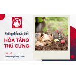 Những điều cần biết khi hỏa táng thú cưng của bạn