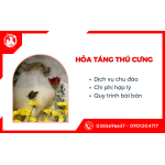 Những lý do nên lựa chọn dịch vụ hỏa táng thú cưng tại Y-PET Hospital