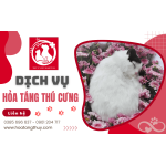 Quy trình hỏa táng thú cưng chuyên nghiệp tại Thú Y - Y Pet Hospital