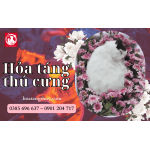 Tìm hiểu quy trình hỏa táng thú cưng tại phòng khám thú y Y-Pethospital