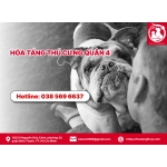 Hỏa táng thú cưng quận 4