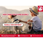 Hỏa táng thú cưng quận 2