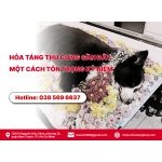 Hỏa táng thú cưng gần đây: Một Cách Tôn Trọng Kỷ Niệm