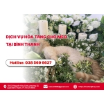 Dịch vụ hỏa táng chó mèo tại Bình Thạnh