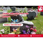 Có nên thiêu xác thú cưng không?