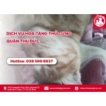 Dịch vụ hỏa táng thú cưng quận Thủ Đức