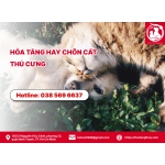 Hỏa táng hay chôn cất thú cưng