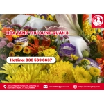 Hỏa táng thú cưng quận 3