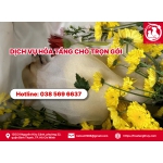 Dịch vụ hỏa táng chó trọn gói