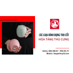 Tìm hiểu về các loại bình đựng tro cốt hỏa táng thú cưng