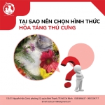 TẠI SAO NÊN CHỌN HÌNH THỨC HỎA TÁNG THÚ CƯNG ?