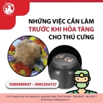 NHỮNG VIỆC CẦN LÀM TRƯỚC KHI HỎA TÁNG CHO THÚ CƯNG