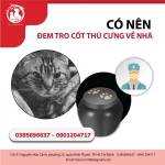 CÓ NÊN ĐEM TRO CỐT THÚ CƯNG VỀ NHÀ? NHỮNG CÁCH XỬ LÝ TRO CỐT THÚ CƯNG SAU KHI HỎA TÁNG