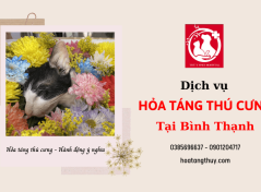 Địa chỉ cung cấp dịch vụ hỏa táng thú cưng uy tín tại Bình Thạnh