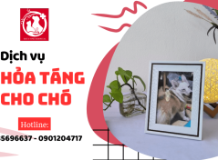 Dịch vụ hỏa táng cho chó chuyên nghiệp đầy đủ tại TP.HCM