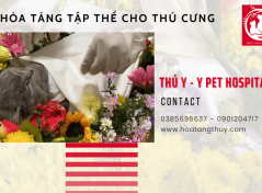 Dịch vụ hỏa táng tập thể cho thú cưng tại TPHCM