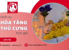 Dịch vụ hỏa táng thú cưng trọn gói, tận tình tại Hỏa Táng Thú Y – Y Pet Hospital