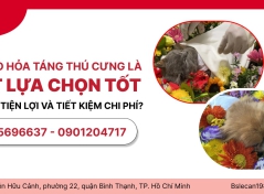 TẠI SAO HỎA TÁNG THÚ CƯNG LÀ MỘT LỰA CHỌN TỐT CHO SỰ TIỆN LỢI VÀ TIẾT KIỆM CHI PHÍ?