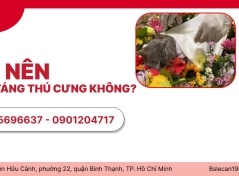 CÓ NÊN HỎA TÁNG THÚ CƯNG KHÔNG?