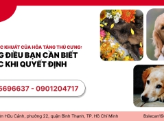 NHỮNG GÓC KHUẤT CỦA HỎA TÁNG THÚ CƯNG: NHỮNG ĐIỀU BẠN CẦN BIẾT TRƯỚC KHI QUYẾT ĐỊNH