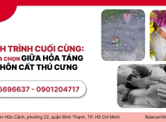 HÀNH TRÌNH CUỐI CÙNG: SỰ LỰA CHỌN GIỮA HỎA TÁNG VÀ CHÔN CẤT THÚ CƯNG