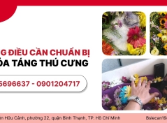 NHỮNG ĐIỀU CẦN CHUẨN BỊ ĐỂ HỎA TÁNG THÚ CƯNG