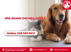 Hỏa táng chó mèo quận 2