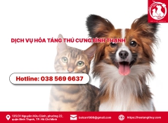 Dịch vụ hỏa táng thú cưng Bình Thạnh