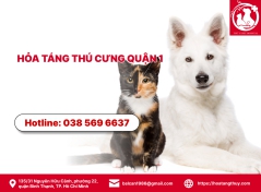 Hỏa táng thú cưng quận 1