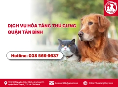 Dịch vụ hỏa táng thú cưng quận Tân Bình