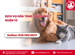 Dịch vụ hỏa táng thú cưng quận 10